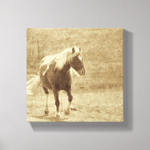 Toile Sepia Pinto Pony