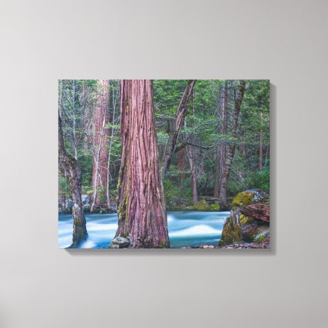 Toile Sequoias & Merced River Yosemite National Park, CA (Recto)