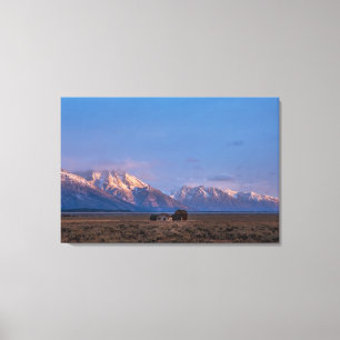 Toile Serene Grand Teton Open Prairie
