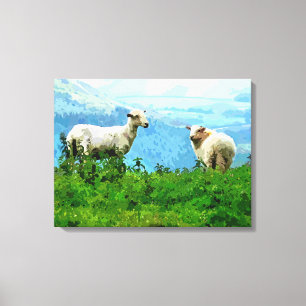 TOILE SHEEP