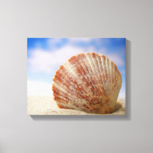 Toile Shell étayé dans le sable