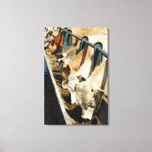 Toile Sicile, Italie