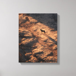 Toile Silhouette de cheval solitaire au coucher de feu