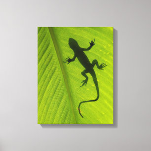 Toile Silhouette de Gecko