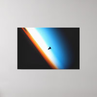 Silhouette de la navette spatiale Endeavour