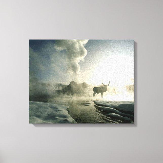Toile Silhouette d'Elk au Castle Geyser (Recto)