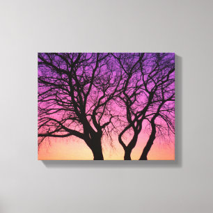 Toile Silhouettes d'arbre dans le coucher du soleil -