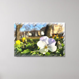Toile Silver white pansy