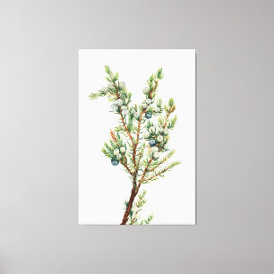 Toile Simple Juniper Vintage de montagne