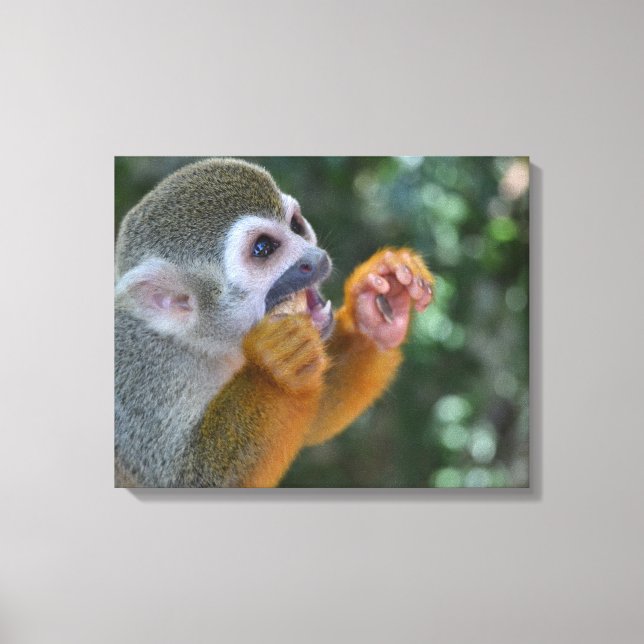 Toile Singe araignée (Recto)