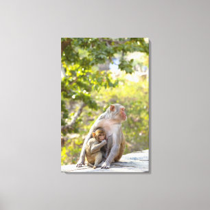 Toile Singes de Macaque de rhésus de mère et de bébé