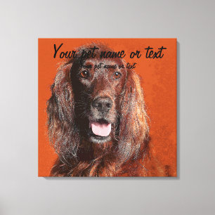 Toile Smart Irish Setter Dog