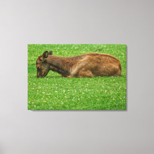 Toile Sommeil petit un