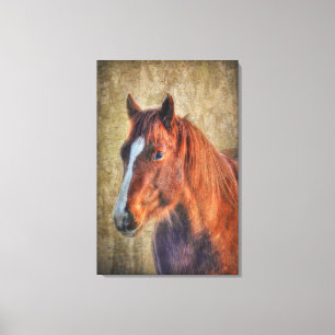 Toile Sorrel Horse Portrait sur Rustic Grunge effet