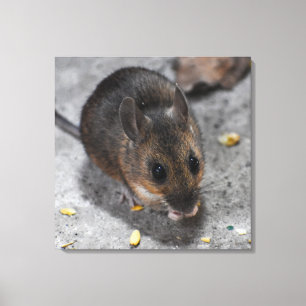 Toile Souris en bois