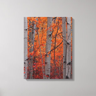 Toile Splendeur d'automne