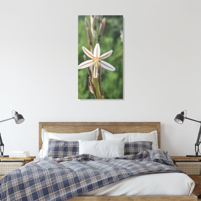 Toile Spring flora South Africa Canvas Print (Insitu(Chambre))