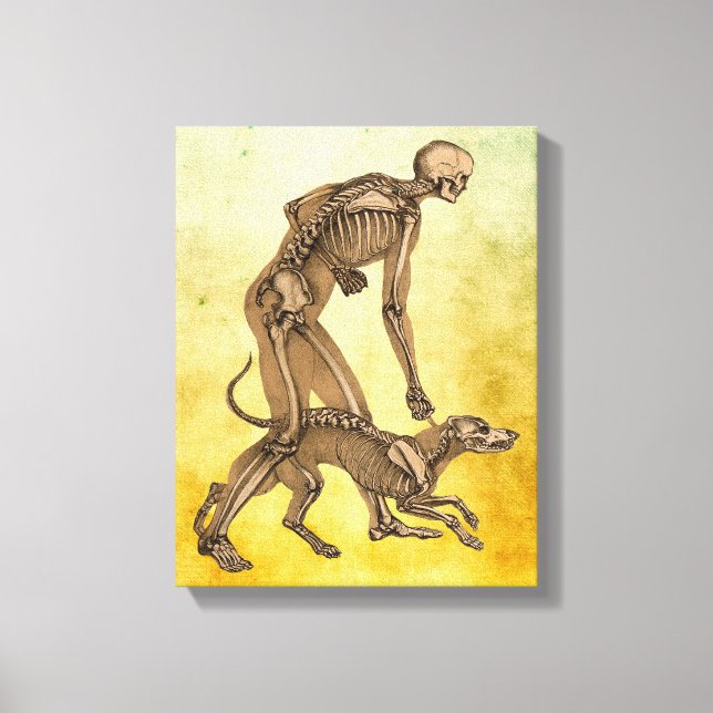 Toile squelette homme et chien animal humain anatomie ar (Recto)