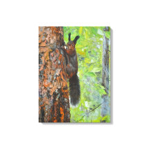 Squirrel on Pine Tree – Realistic Oil Painting