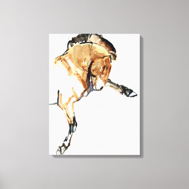 Toile Stallion (Recto)