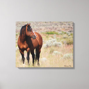 Toile Stallion américain Wild Mustang