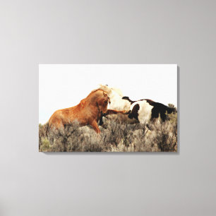 Toile Stallions sauvages en bataille