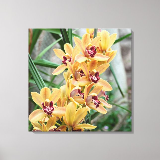 Toile Star Orchids (Recto)