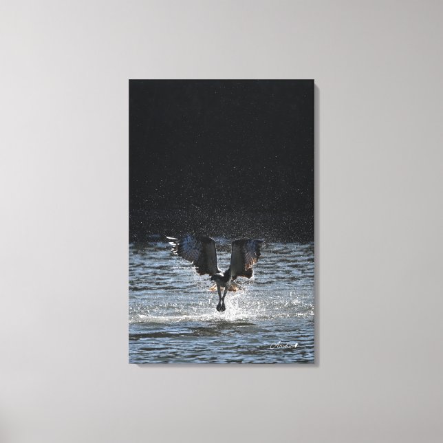 Toile Stardust - Osprey (Recto)