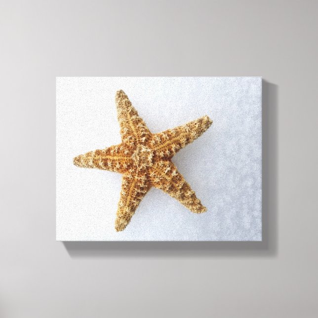 Toile Starfish In the Snow - Poster photo original (Recto)