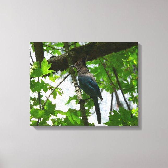 Toile Steller's Jay dans le parc national de Yosemite (Recto)
