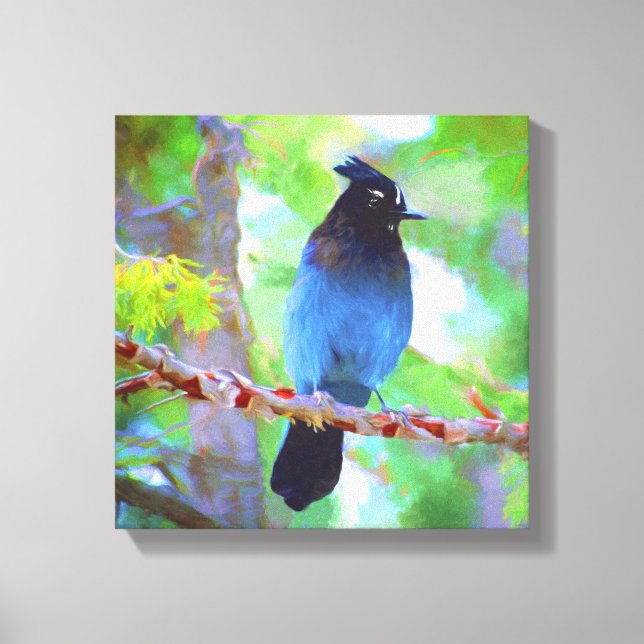 Toile Steller's Jay Painting - Art original pour oiseaux (Recto)