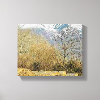 Toile Stretched Canvas Print 