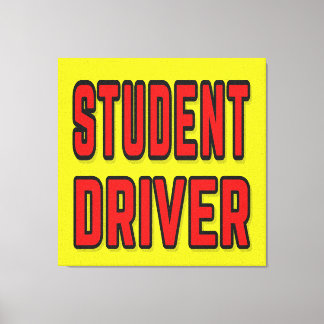 Toile Student Driver