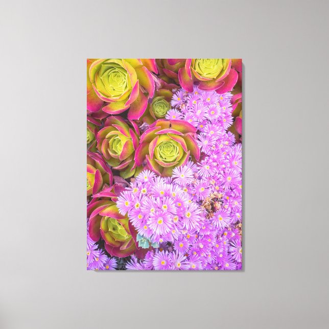 Toile Succulent et fleurs (Recto)
