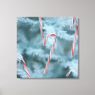 Toile Sucre de canne sur l'arbre