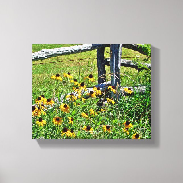 Toile Summer Blue Ridge Parkway USA Fleur sauvage Photo (Recto)