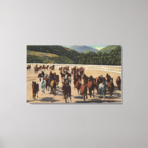 Toile Sun Valley, identification - rassemblement de