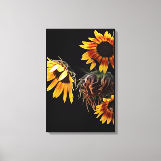 Toile Sunflower Stretched Canvas Print (Recto)