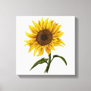 Toile Sunflower Sunshine Floral Aquarelle Fleur