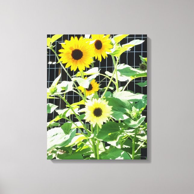 Toile Sunflowers (Recto)