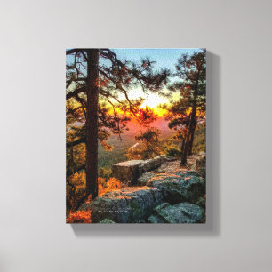 Toile Sunset Mogollon Rim Arizona Pine Trees 8x10