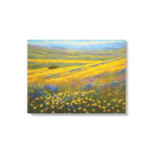 Super Blooms en Californie, Carrizo Plains