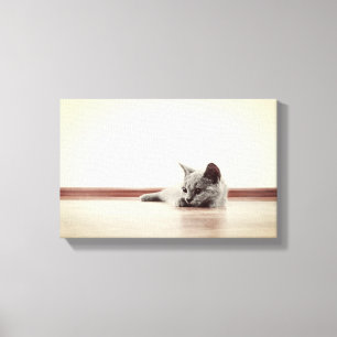 Toile SUPER CUTE Kitten Portrait - Style Vintage