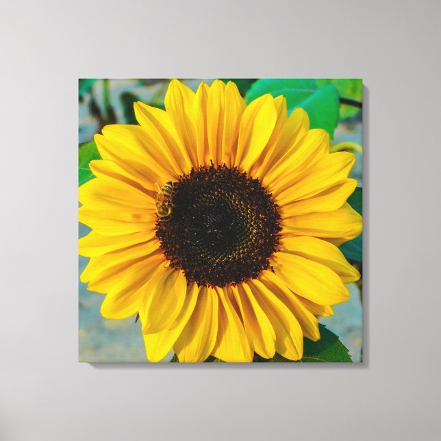 Toile Suprême du tournesol (Recto)