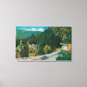 Toile Sur la route à de grands arbres de Santa Cruz