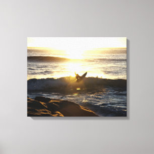 Toile Surfer
