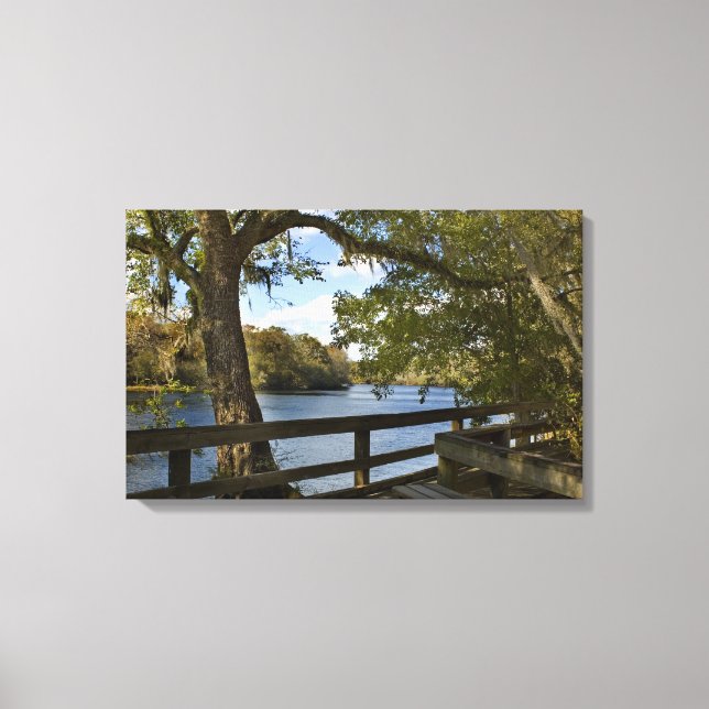 Toile Suwannee River à Hart Springs (Recto)