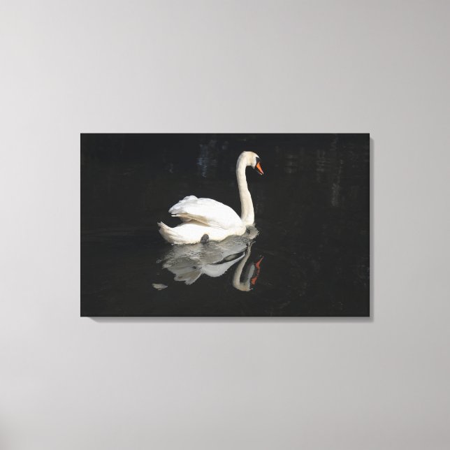 Toile Swan (Recto)