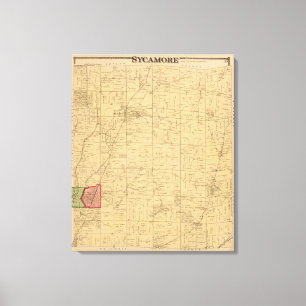 Toile Sycomore, Ohio