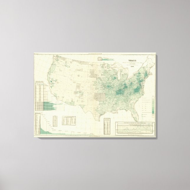 Toile Tabac (Recto)